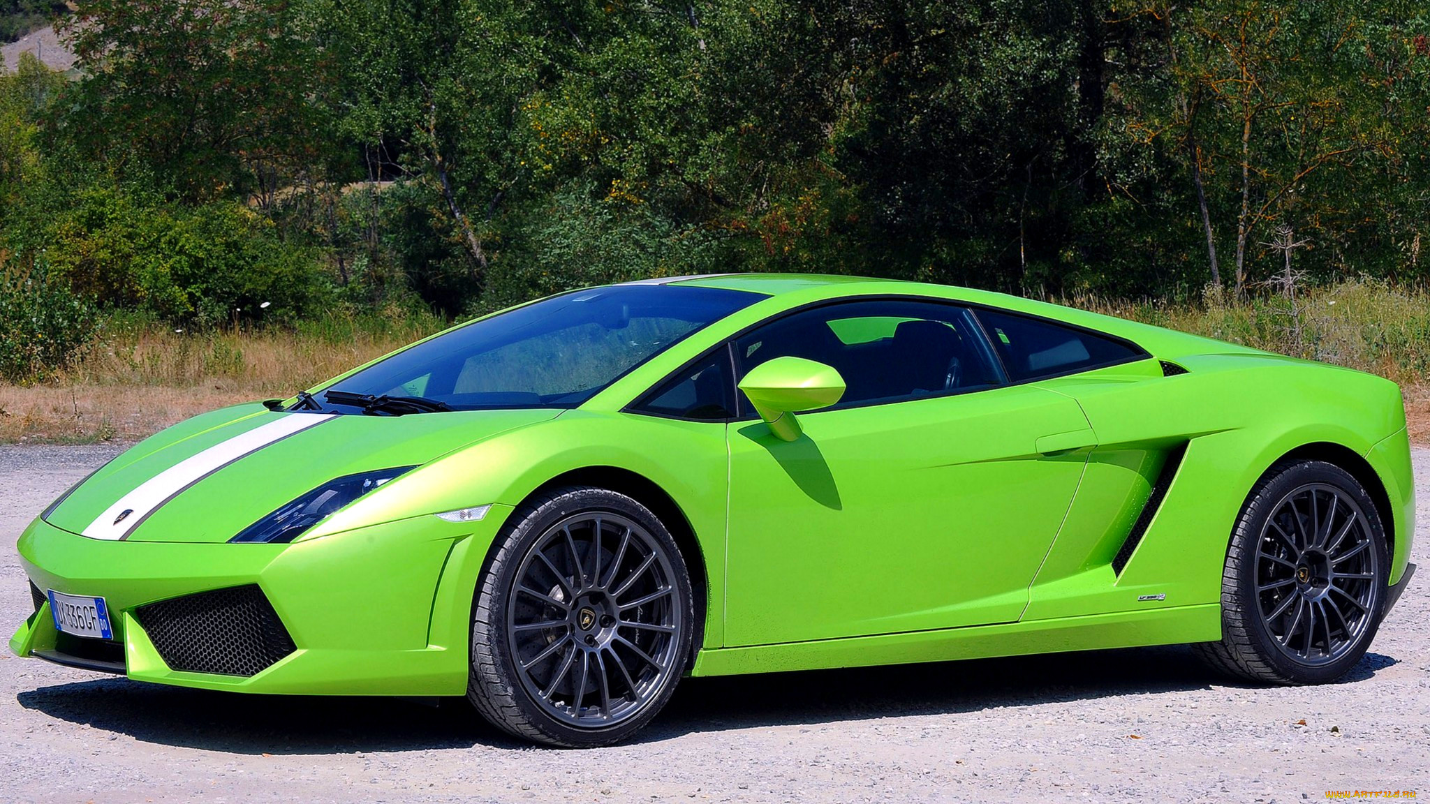 lamborghini, gallardo, , automobili, holding, s, p, a, -, , 